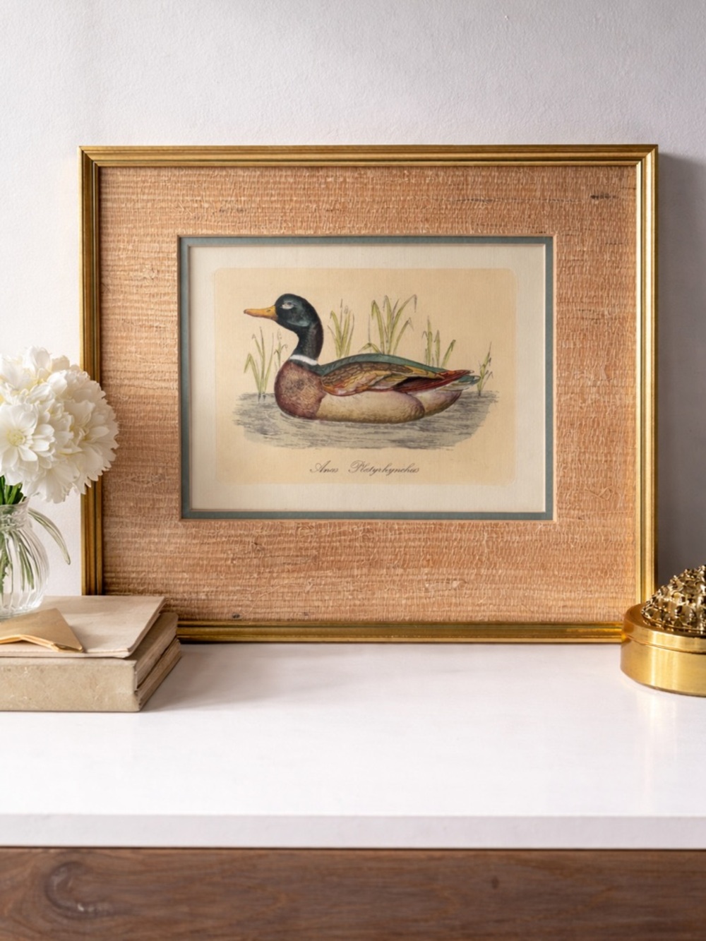 Classic Vintage Duck Illustration in Gold Frame